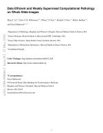 Data Efficient and Weakly Supervised Computational Pathology on Whole Slide Images