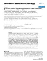 Truncated forms of viral VP2 proteins fused to EGFP assemble into fluorescent parvovirus-like particles