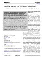 Functional Amyloids: The Biomaterials of Tomorrow?