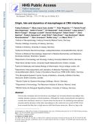 Origin, fate and dynamics of macrophages at CNS interfaces