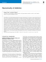 Neurocircuitry of Addiction