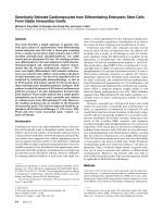 Genetically Selected Cardiomyocytes from Differentiating Embryonic Stem Cells Form Stable Intracardiac Grafts