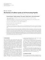 Mechanisms of Cellular Uptake of Cell-Penetrating Peptides