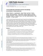 Local proliferation dominates lesional macrophage accumulation in atherosclerosis