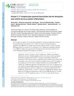 Human T<sub>H</sub>17 lymphocytes promote blood-brain barrier disruption and central nervous system inflammation