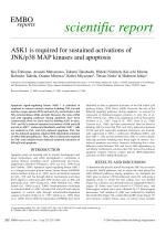 ASK1 is required for sustained activations of JNK/p38 MAP kinases and apoptosis