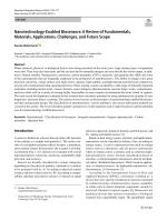 Nanotechnology-Enabled Biosensors: A Review of Fundamentals, Materials, Applications, Challenges, and Future Scope