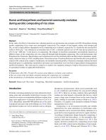 Humic acid biosynthesis and bacterial community evolution during aerobic composting of rice straw
