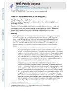 From circuits to behaviour in the amygdala