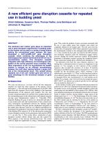 A new efficient gene disruption cassette for repeated use in budding yeast