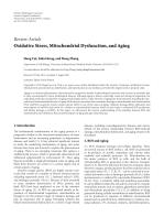 Oxidative Stress, Mitochondrial Dysfunction, and Aging