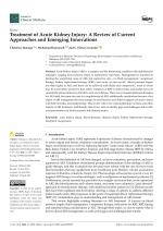 Treatment of Acute Kidney Injury: A Review of Current Approaches and Emerging Innovations