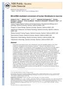 MicroRNA-mediated conversion of human fibroblasts to neurons