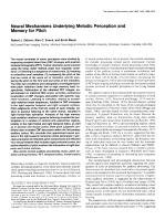 Neural Mechanisms Underlying Melodic Perception and Memory for Pitch