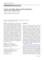 Toxicity and cellular uptake of gold nanoparticles: what we have learned so far?