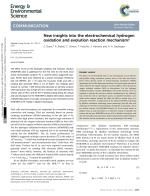 New insights into the electrochemical hydrogen oxidation and evolution reaction mechanism