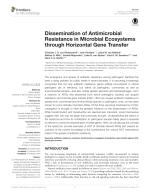 Dissemination of Antimicrobial Resistance in Microbial Ecosystems through Horizontal Gene Transfer