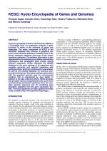 KEGG: Kyoto Encyclopedia of Genes and Genomes