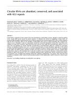 Circular RNAs are abundant, conserved, and associated with ALU repeats
