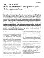 The Transcriptome of the Intraerythrocytic Developmental Cycle of Plasmodium falciparum