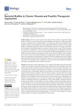 Bacterial Biofilm in Chronic Wounds and Possible Therapeutic Approaches