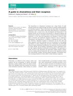 A guide to chemokines and their receptors