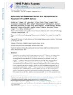 Molecularly Self-Assembled Nucleic Acid Nanoparticles for Targeted In Vivo siRNA Delivery