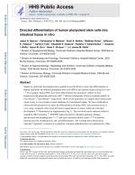 Directed differentiation of human pluripotent stem cells into intestinal tissue in vitro