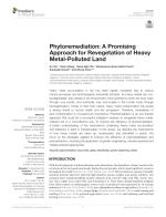 Phytoremediation: A Promising Approach for Revegetation of Heavy Metal-Polluted Land