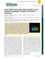Lead Halide Perovskite Nanocrystals in the Research Spotlight: Stability and Defect Tolerance