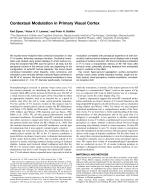 Contextual Modulation in Primary Visual Cortex