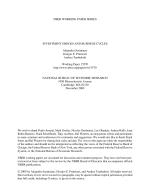 INVESTMENT SHOCKS AND BUSINESS CYCLES