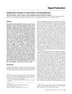 Identification of Targets of Leptin Action in Rat Hypothalamus