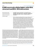 KARR-seq reveals cellular higher-order RNA structures and RNA–RNA interactions
