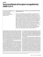 Structural basis of receptor recognition by SARS-CoV-2