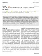 The LRR receptor-like kinase ALR1 is a plant aluminum ion sensor
