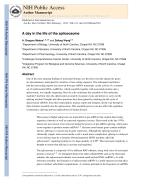 A day in the life of the spliceosome