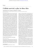Cellular survival: a play in three Akts