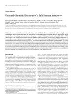Uniquely Hominid Features of Adult Human Astrocytes