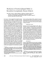 Mechanism of Gastroesophageal Reflux in Recumbent Asymptomatic Human Subjects