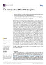 Trials and Tribulations of MicroRNA Therapeutics