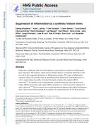 Suppression of inflammation by a synthetic histone mimic