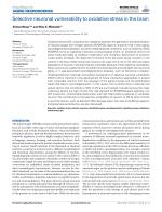 Selective neuronal vulnerability to oxidative stress in the brain
