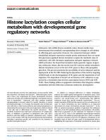 Histone lactylation couples cellular metabolism with developmental gene regulatory networks