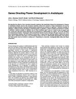 Genes Directing Flower Development in Arabidopsis