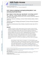 ULK1 induces autophagy by phosphorylating Beclin-1 and activating Vps34 lipid kinase