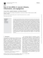 Role of microRNAs in vascular diseases, inflammation, and angiogenesis