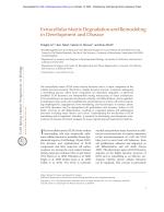 Extracellular Matrix Degradation and Remodeling in Development and Disease