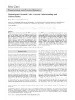 Mesenchymal Stromal Cells: Current Understanding and Clinical Status