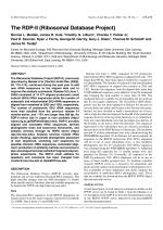 The RDP-II (Ribosomal Database Project)